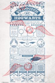 Harry Potter Quidditch At Hogwarts - plakat 61x91,5 cm