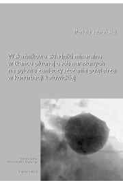 eBook Wskanikowe skadniki mineralne w tkance pucnej osb naraonych na pyowe zanieczyszczenia powietrza w konurbacji katowickiej pdf
