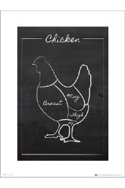 Chicken Chalk Portrait - plakat premium 30x40 cm