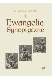eBook Ewangelie synoptyczne. Geneza i interpretacja pdf