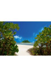 Tropikalna Wyspa - plakat 91,5x61 cm