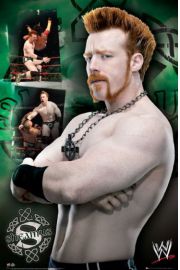 WWE Wrestling Seamus - plakat