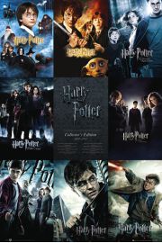 Harry Potter Kolekcja - plakat 61x91,5 cm