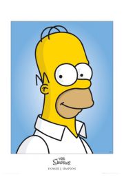 The Simpsons homer - plakat premium 60x80 cm