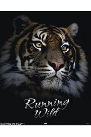 Tygrys w Dziczy - plakat