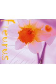 Krokus - Kwiat - plakat