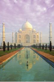 Indie Taj Mahal - plakat 61x91,5 cm