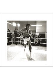 Muhammad Ali Spar - plakat premium