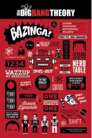 The Big Bang Theory informacje - plakat