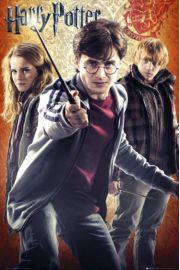 Harry Potter Trio - plakat 61x91,5 cm