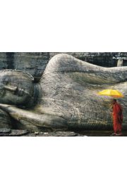 Kamienny Budda - Mnich z Parasolem - plakat 91,5x61 cm