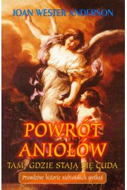 Powrt aniow - Anderson Joan Wester