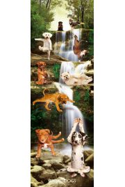 Joga - Zabawne Figury przy Wodospadzie - Psy - plakat 53x158 cm