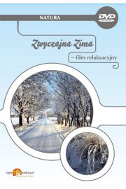 Zwyczajna zima - film relaksacyjny DVD