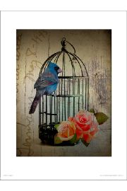 Birdcage Vintage - plakat premium 30x40 cm