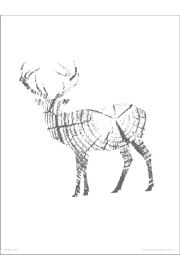 Deer Wood - plakat premium 40x50 cm