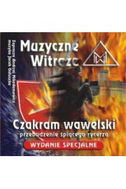 Muzyczne witrae. Czamkram Wawelski. Wydanie specjalne - CD - Andrzej Nikodemowicz