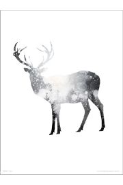 Deer Snow Trees - plakat premium 40x50 cm