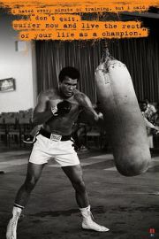 Muhammad Ali Worek Treningowy - plakat 61x91,5 cm