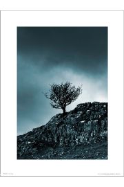Dark Winter Tree - plakat premium