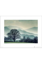 Winter Tree Landscape - plakat premium 40x30 cm