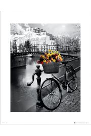 Amsterdam Bike - plakat premium 40x50 cm