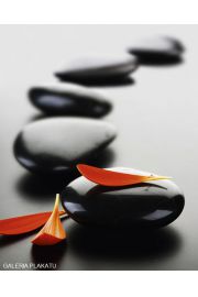 Zen Stones i Spa - red - plakat 40x50 cm