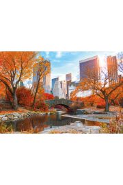 Nowy Jork Central Park Jesieni - plakat 91,5x61 cm