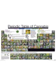 Ukad Okresowy Marihuany - plakat 91,5x61 cm
