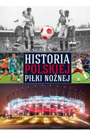 eBook Historia polskiej piki nonej pdf