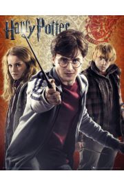 Harry Potter 7 Trio - plakat 40x50 cm