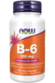 Now Foods Witamina B-6 100 mg Suplement diety 100 kaps.