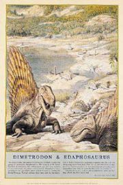 Dinozaury - Dimetrodon i Edafozaur - plakat 61x91,5 cm