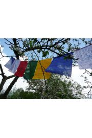 Tybetaskie flagi modlitewne - 16x21cm/170cm