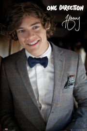 One Direction Harry - plakat