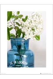 Blue Bottle Flowers - plakat premium 30x40 cm
