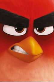 Angry Birds Red - plakat 61x91,5 cm