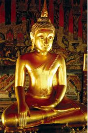 Zoty Budda - Buddha - plakat 61x91,5 cm
