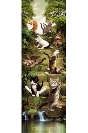 Joga - Zabawne Figury przy Wodospadzie - Koty - plakat
