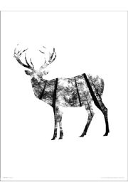 Deer Woods - plakat premium 30x40 cm