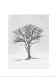 Winter Tree Grey - plakat premium 40x50 cm