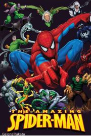 Niesamowity Spiderman - plakat