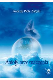 Anioy przeznaczenia - Zaski Andrzej Piotr