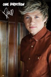 One Direction Niall - plakat