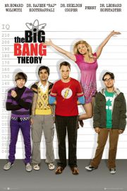 The Big Bang Theory - Policja - plakat