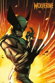 Marvel Extreme Wolverine - plakat
