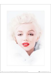 Marilyn Monroe White - art print