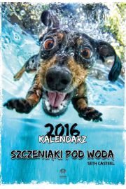 Kalendarz 2016 Szczeniaki pod wod
