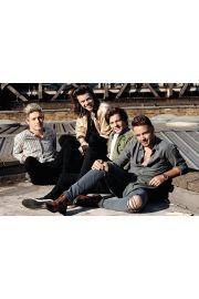 One Direction Rooftop - plakat 91,5x61 cm