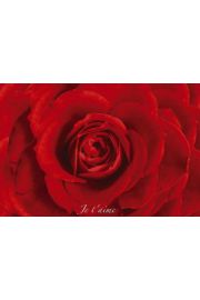 Czerwona Ra - Kocham Ci po Francusku - plakat 91,5x61 cm